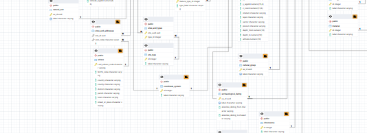 novel database schema